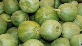 甜瓜作者爆料视频大全集,揭秘幕后故事与精彩瞬间